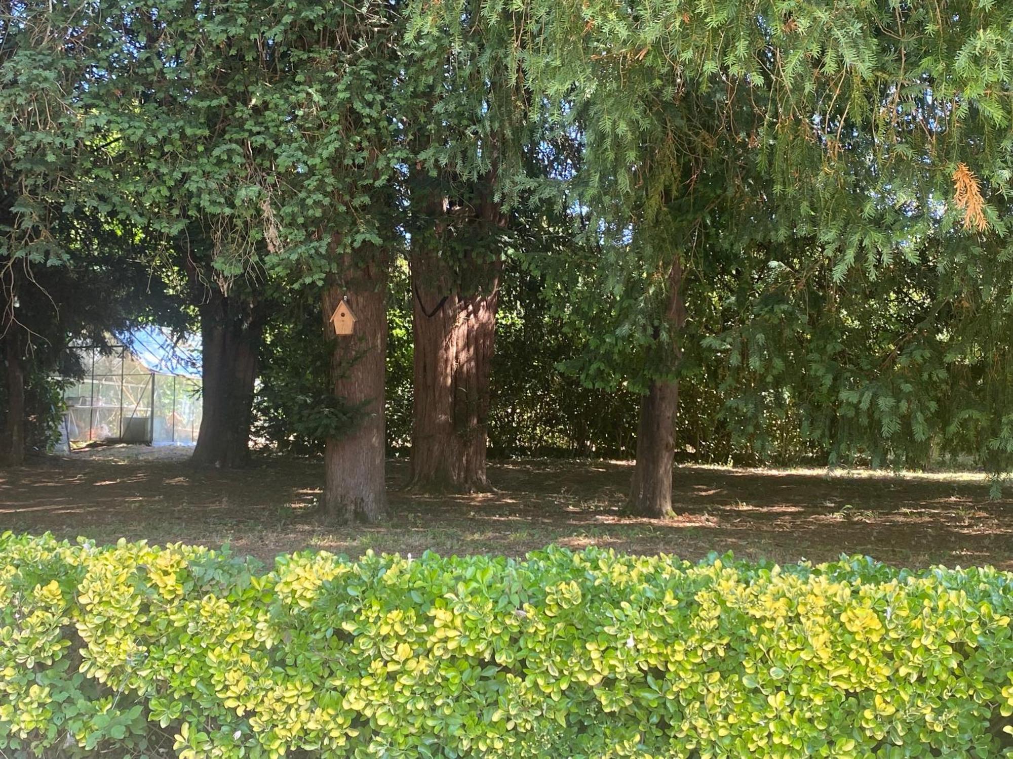 Domaine De La Mouleyre A Cenac Proche Bordeaux Villa Carignan-de-Bordeaux Exteriör bild